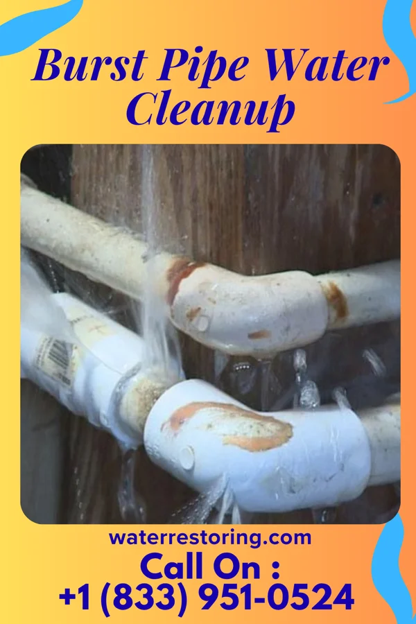 Burst Pipe Water Cleanup in Hopkins, MO