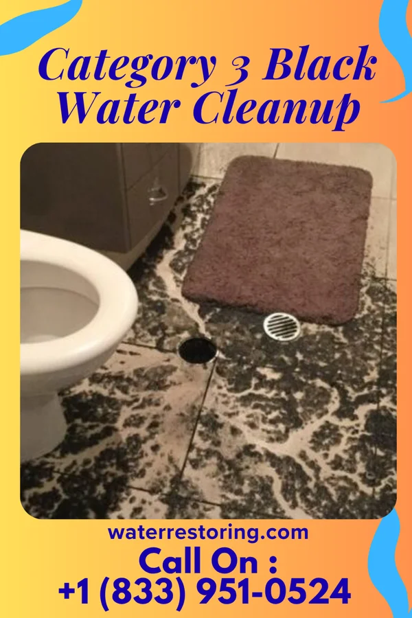 Category 3 Black Water Cleanup in Hopkins, MO